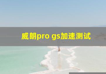 威朗pro gs加速测试